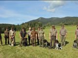 Eine Fülle von Hundeprüfungen organisiert