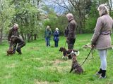 Hundeausbildung - Welpenkurs findet großen Anklang